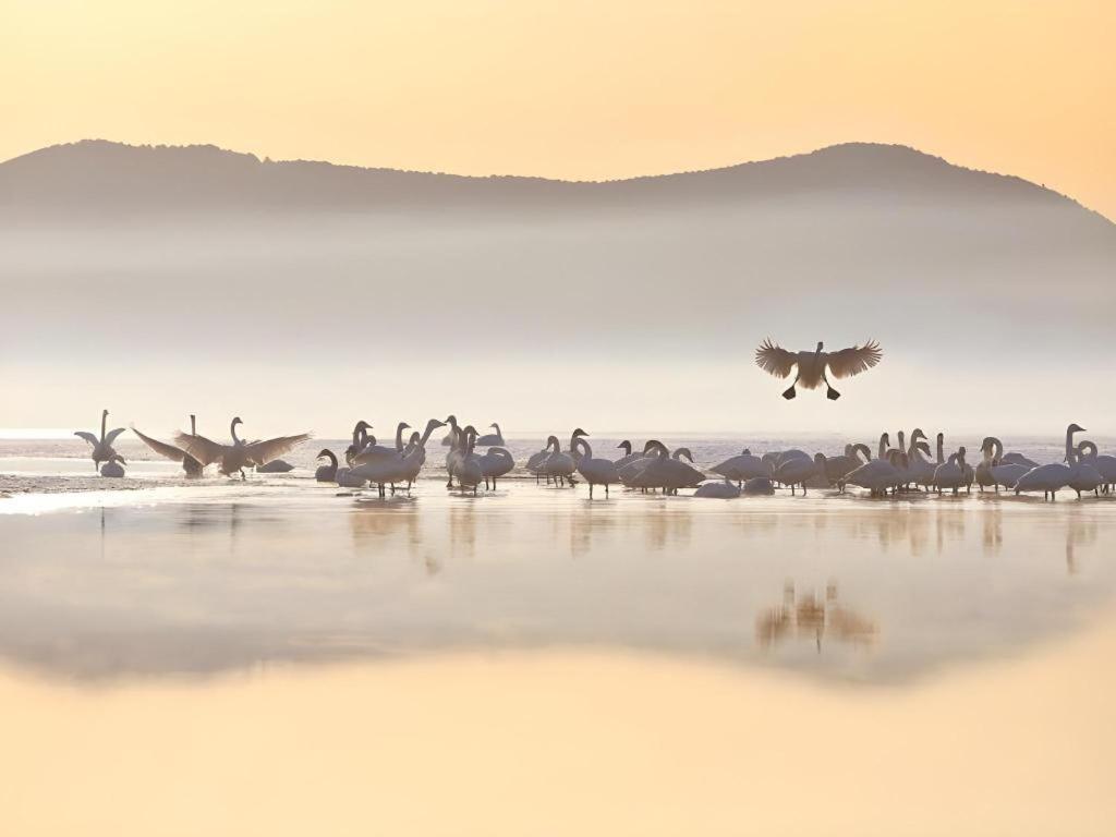 Greentree Inn Weihai Rongcheng Haoyunjiao Tourist Resort Bagian luar foto